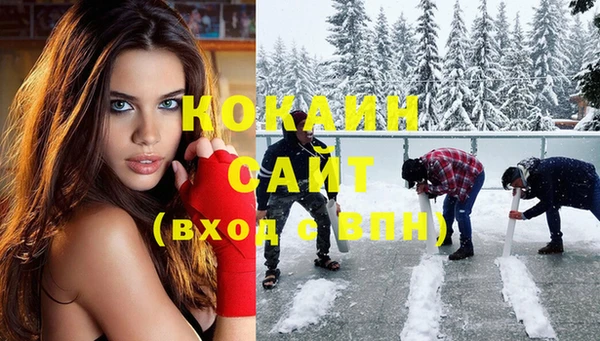 спайс Ельня