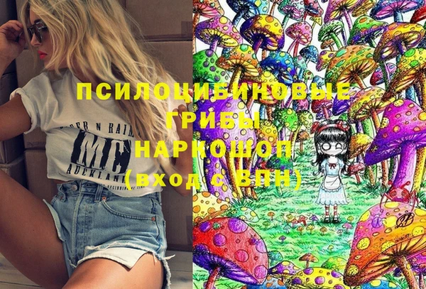 соль ск Елизово