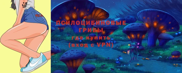 СК Елабуга